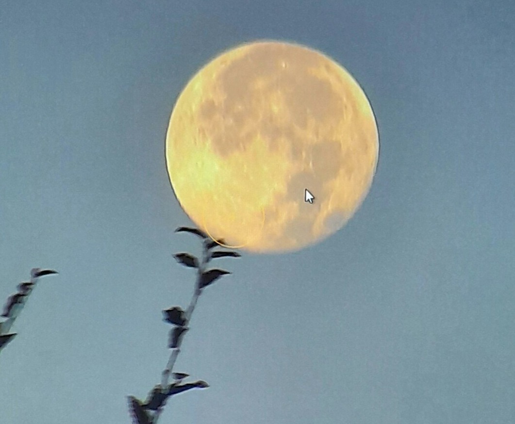 Photo de Pierre CHABANNES
